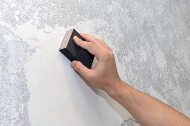 Best Asbestos and Lead Testing During Mold Inspection  in Tellico Plains, TN