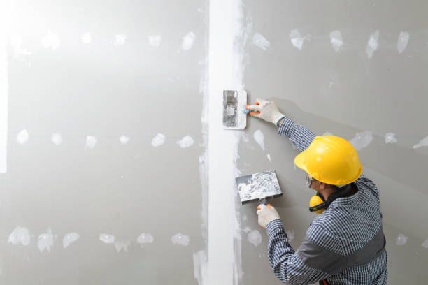 Best Biohazard Mold Removal  in Tellico Plains, TN