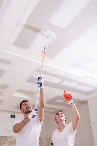 Best Dehumidification Services  in Tellico Plains, TN
