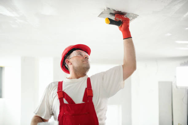 Professional Mold Removal in Tellico Plains, TN
