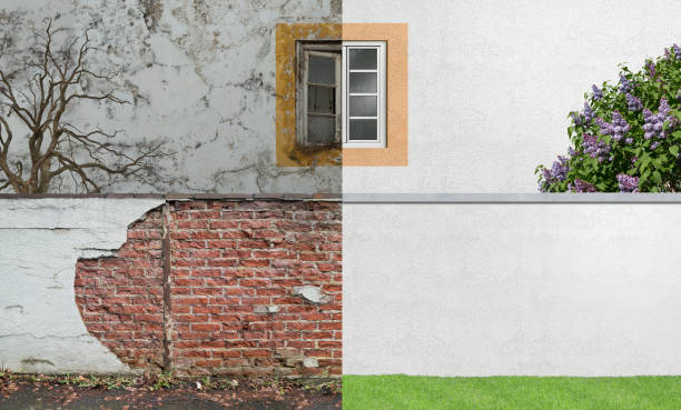 Best Industrial Mold Remediation  in Tellico Plains, TN
