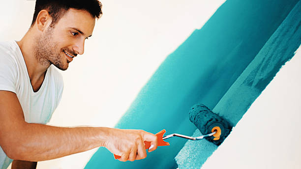 Best Black Mold Removal  in Tellico Plains, TN